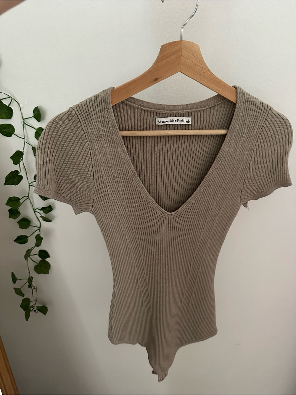 Abercrombie & Fitch Taupe Ribbed V-Neck Short-Sleeve Bodysuit